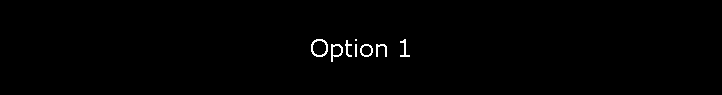 Option 1
