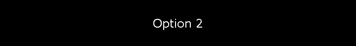 Option 2